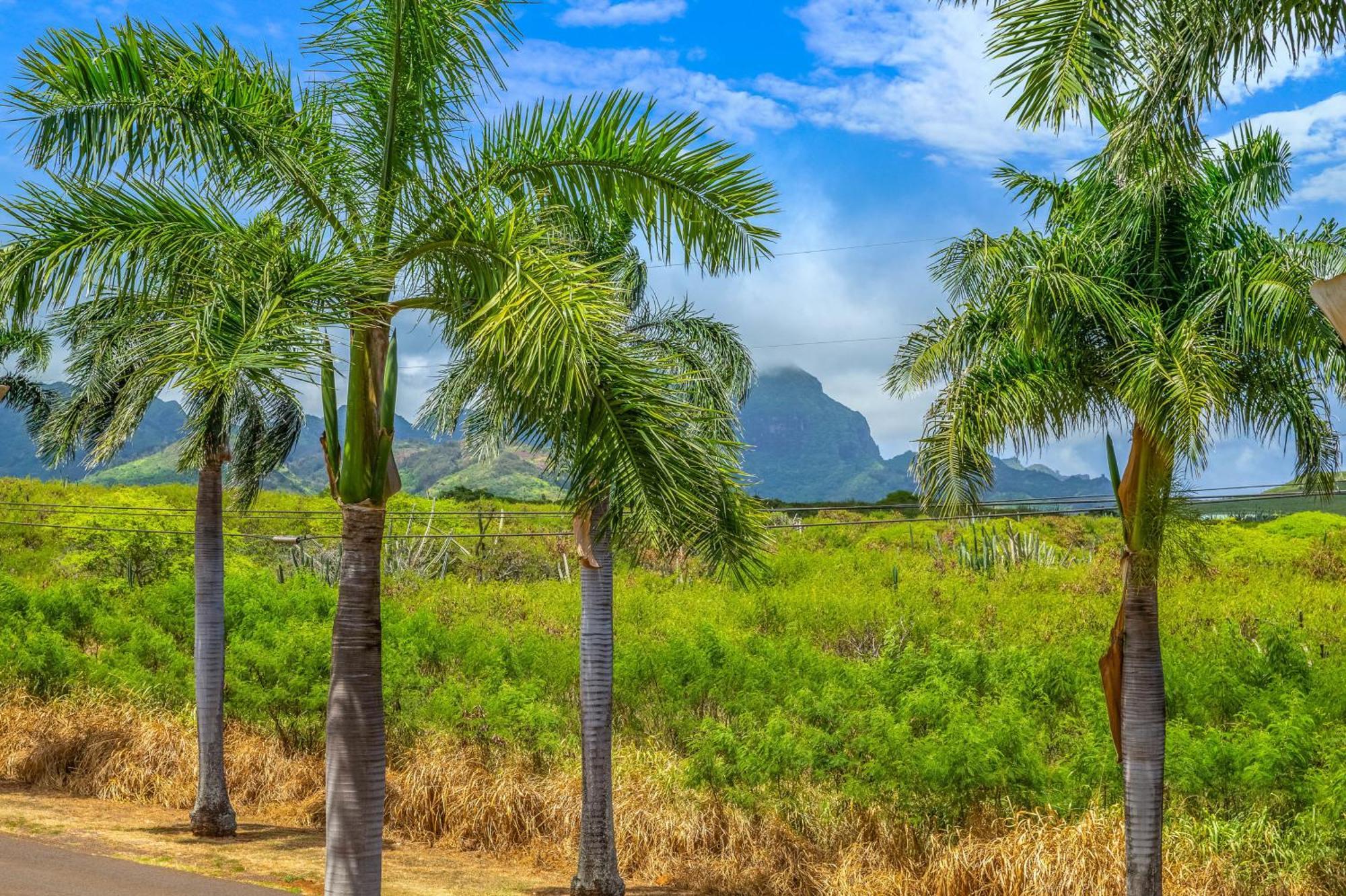 Pili Mai II Villa Koloa Ruang foto